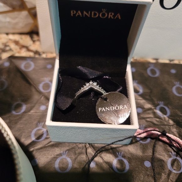 Pandora Bundle - Retired Charms, Wishbone Ring (9) & Limited Edition Case! - Picture 5 of 16
